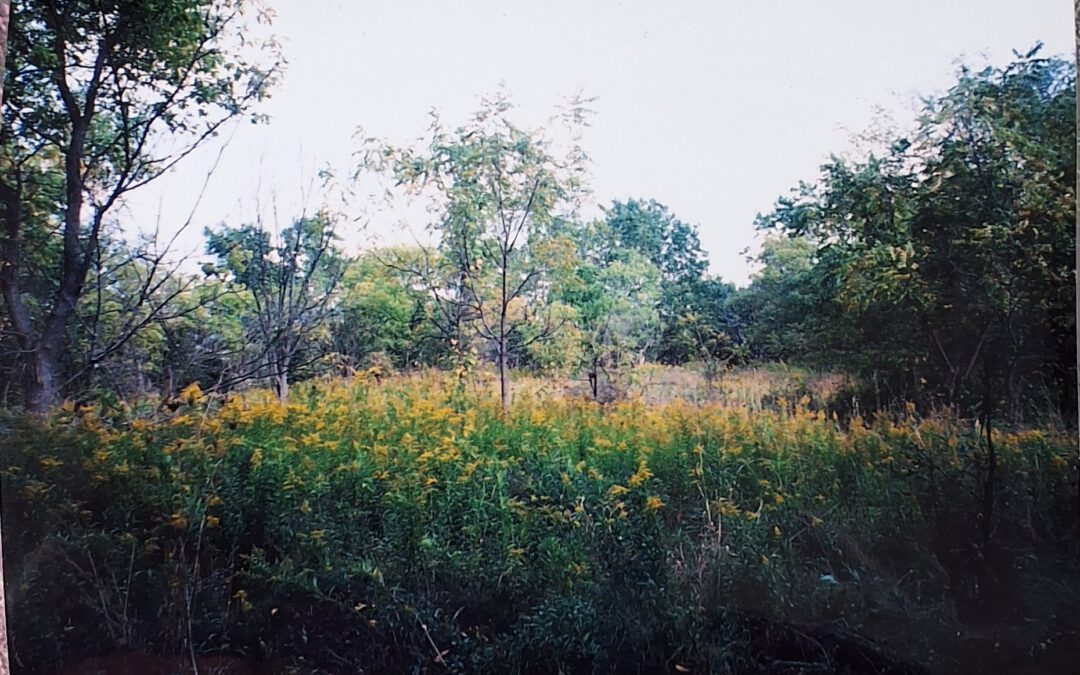 Part 1: Walking Into The Valley